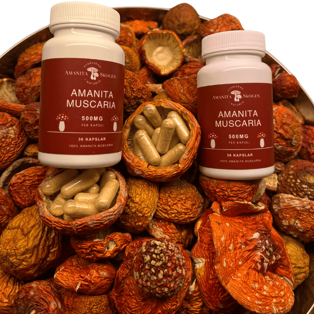 Amanita Muscaria - 400mg