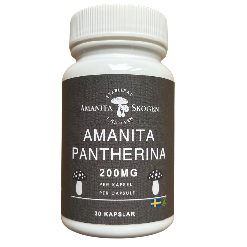 Amanita Pantherina - 200mg
