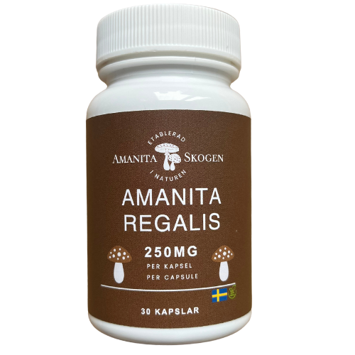 Amanita Regalis - 250mg