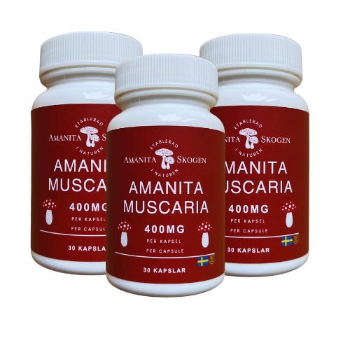 3 x Amanita Muscaria - 400mg
