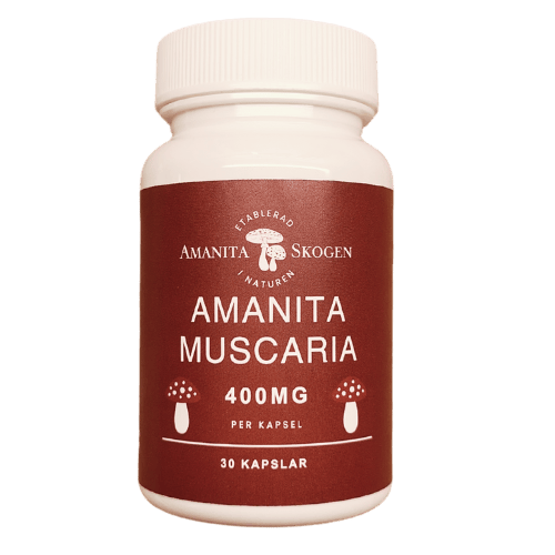 Amanita Muscaria - 400mg