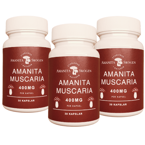 3 x Amanita Muscaria - 400mg