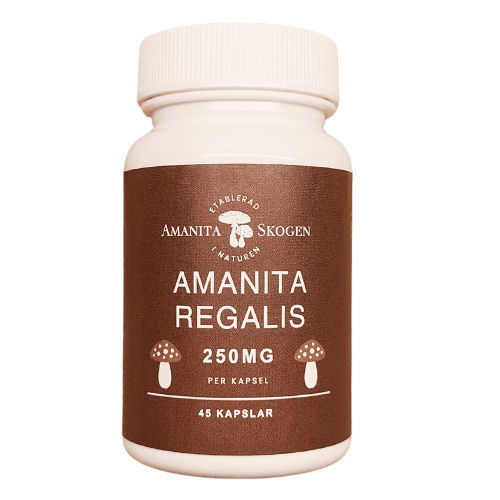 Amanita Regalis - 250mg